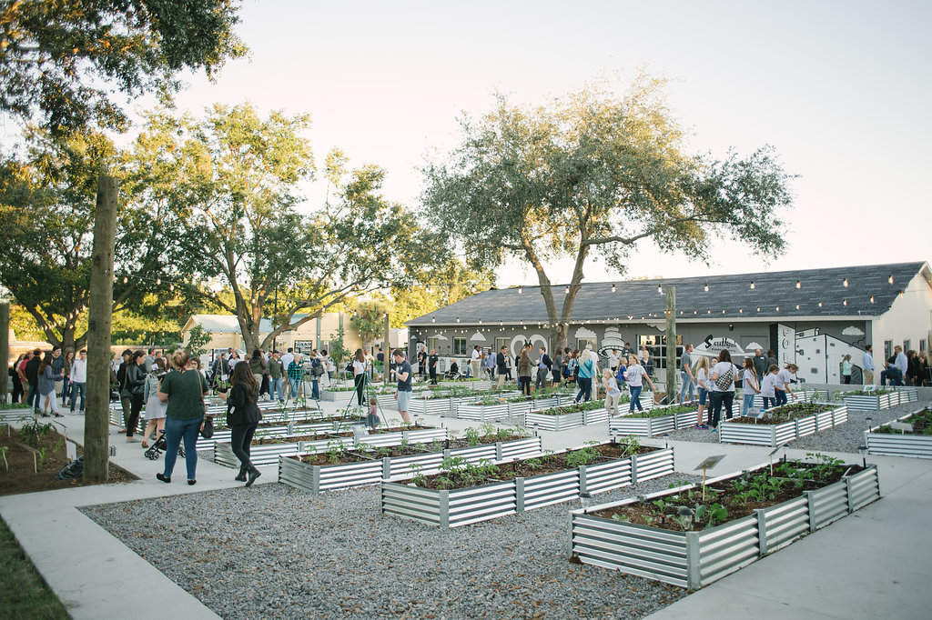 Everette Taylor Urban Farm