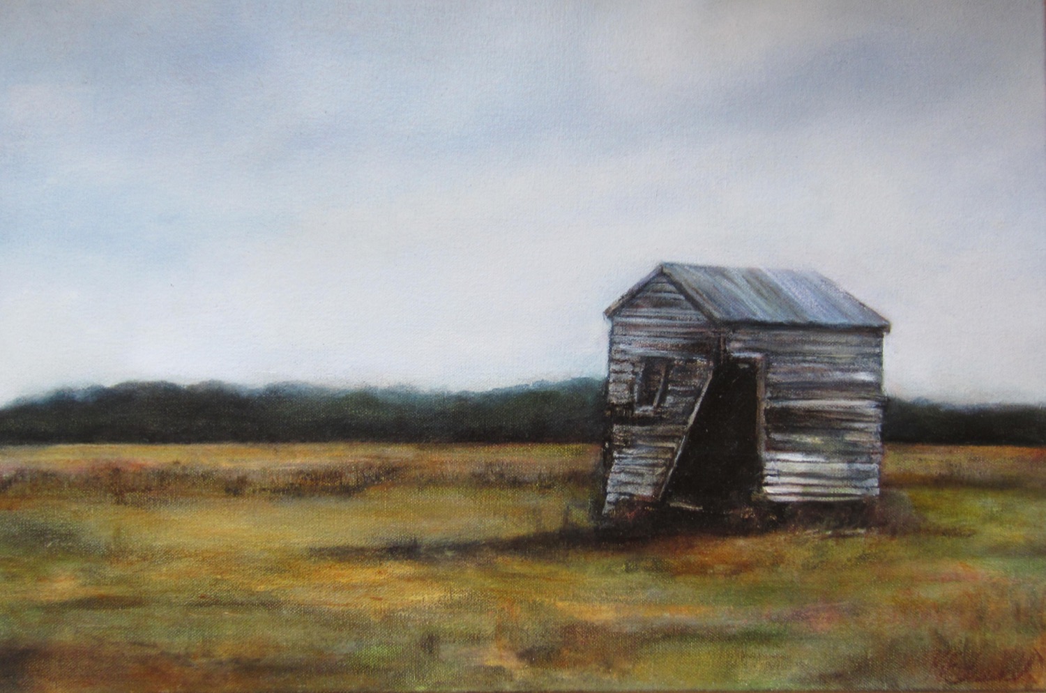 Old Shed