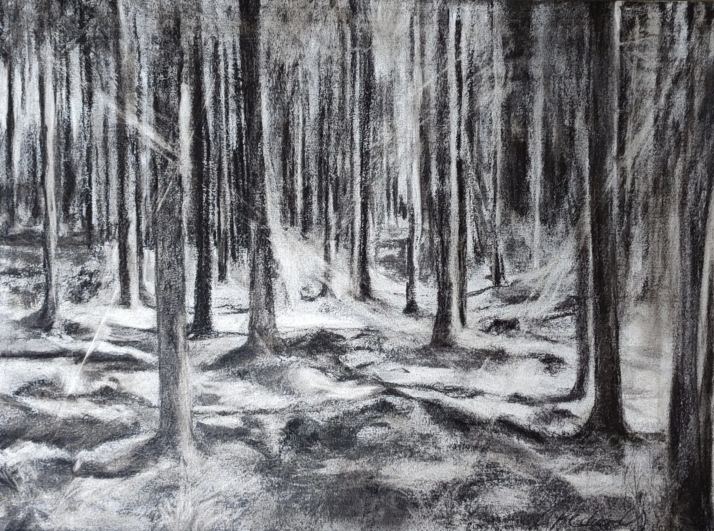  Shine Through the Shadows