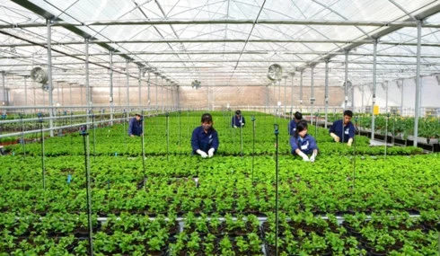 Các ngân hàng đã cho vay ứng dụng công nghệ cao 26.000 tỷ đồng