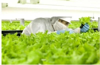 Ứng dụng công nghệ của NASA trong bảo quản, chế biến nông sản và thực phẩm