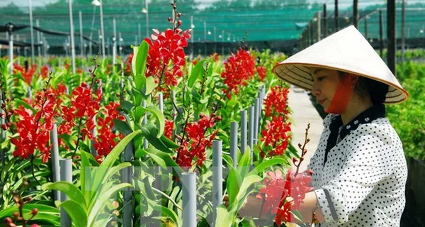 Ngân hàng bắt đầu triển khai gói 100.000 tỷ đồng vào nông nghiệp công nghệ cao