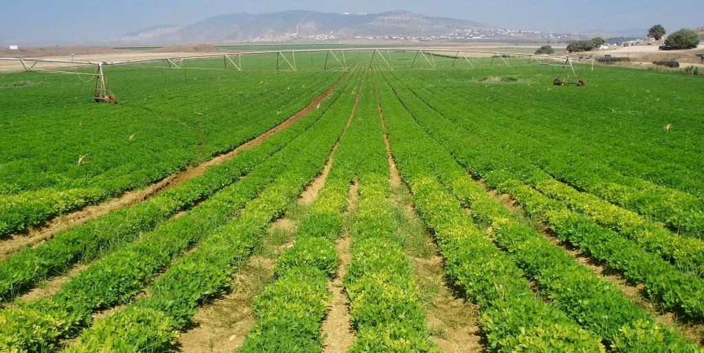 Agribank triển khai gói tín dụng 50.000 tỉ đồng cho nông nghiệp sạch