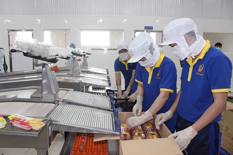 VCB cho vay nhiều dự án nông nghiệp công nghệ cao