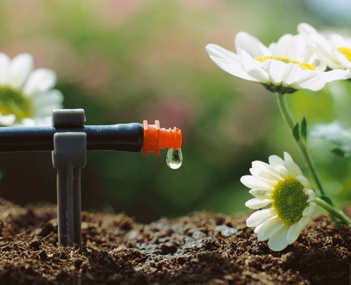 3 công nghệ tưới được ứng dụng nhiều nhất hiện nay