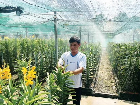 Nông dân đổi đời nhờ nông nghiệp công nghệ cao