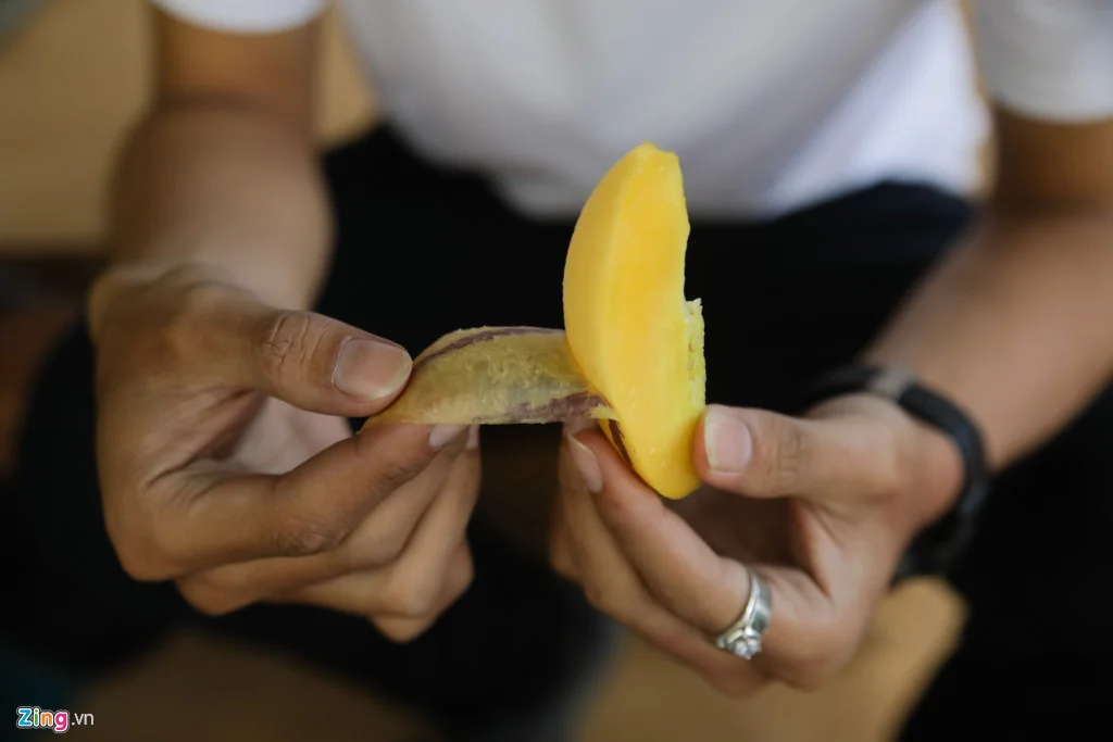 Dự án hay\ Trang trại dưa hấu tí hon 10 mùi ở Đà Lạt