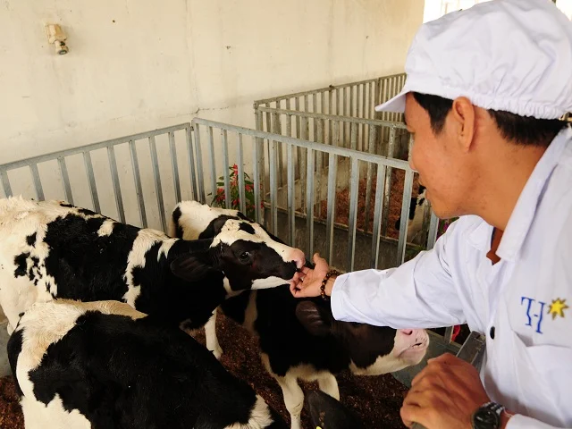 Ngày mai (4.7) diễn ra Hội thảo " Giải pháp nâng cao hiệu quả đầu tư tín dụng NN CNC"