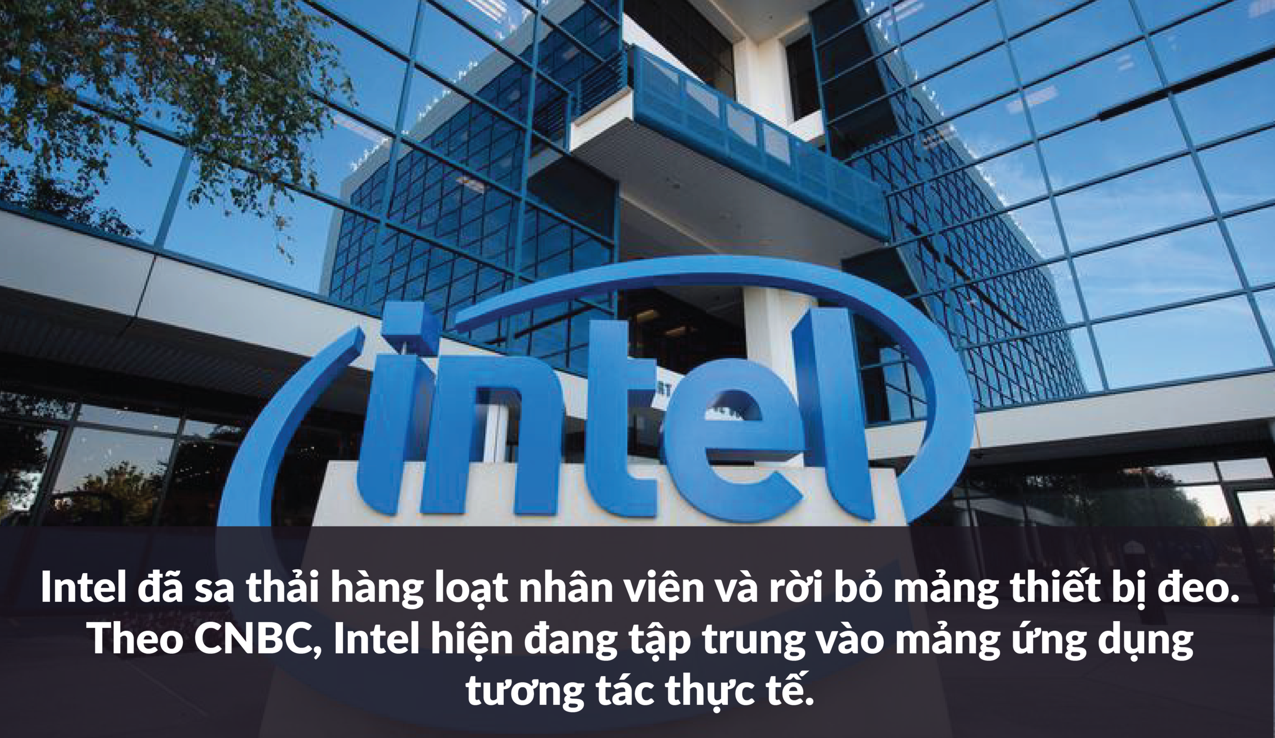 21.07.2017 hinh-01.png