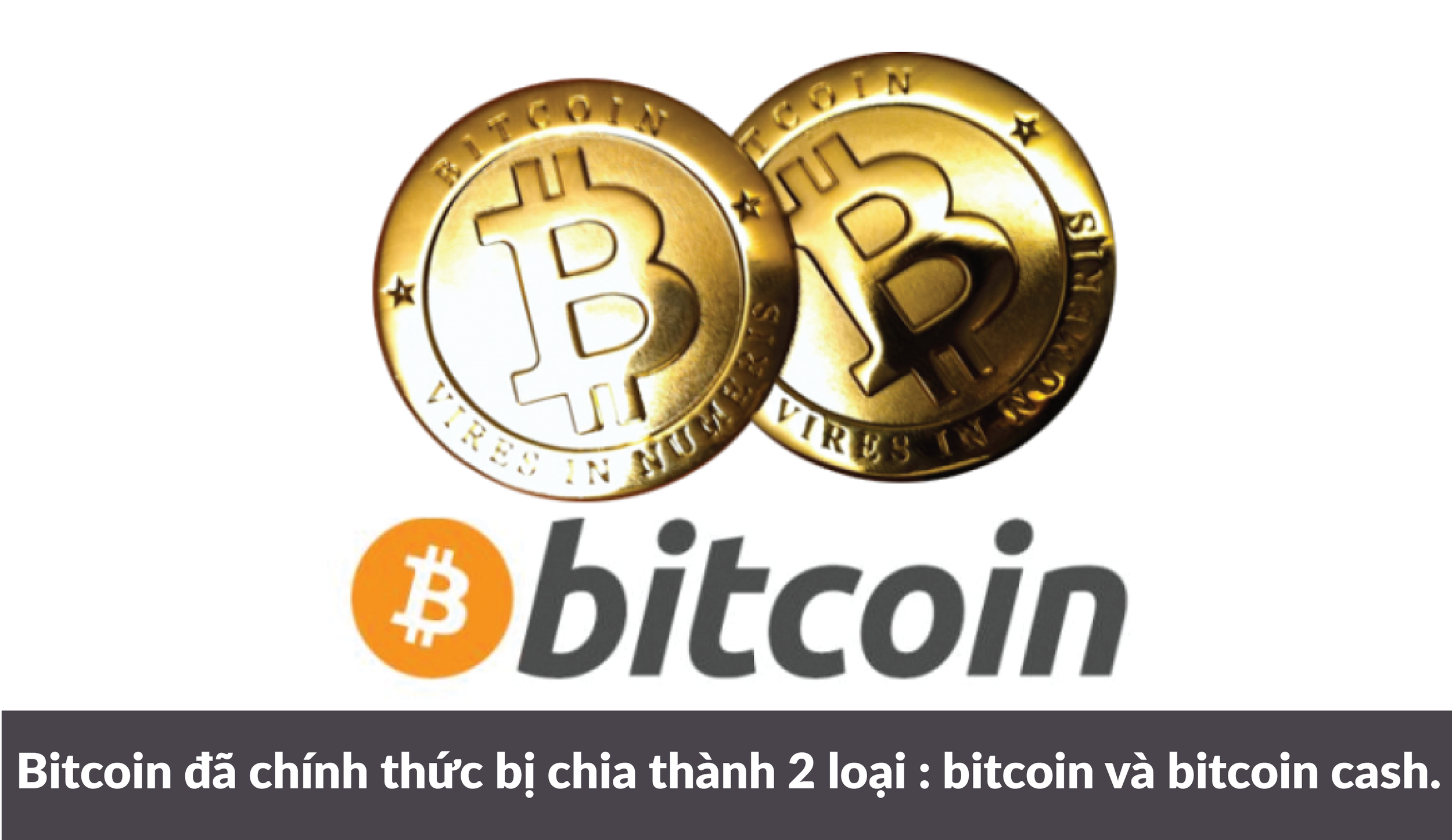 Điểm tin 03/08/2017: Bitcoin chính thức chia thành 2 loại, Facebook xây dựng thiết bị mới....