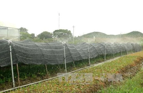 Tiền Giang lập khu nông nghiệp công nghệ cao 1.200 tỷ đồng