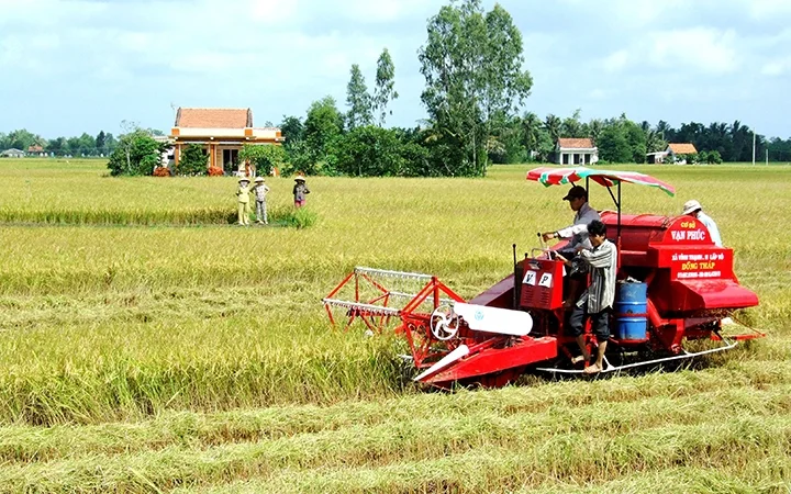 Long An ứng dụng công nghệ cao vào sản xuất nông nghiệp