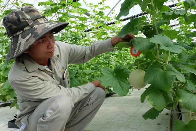 Học thật cao để về làm nông thật giỏi