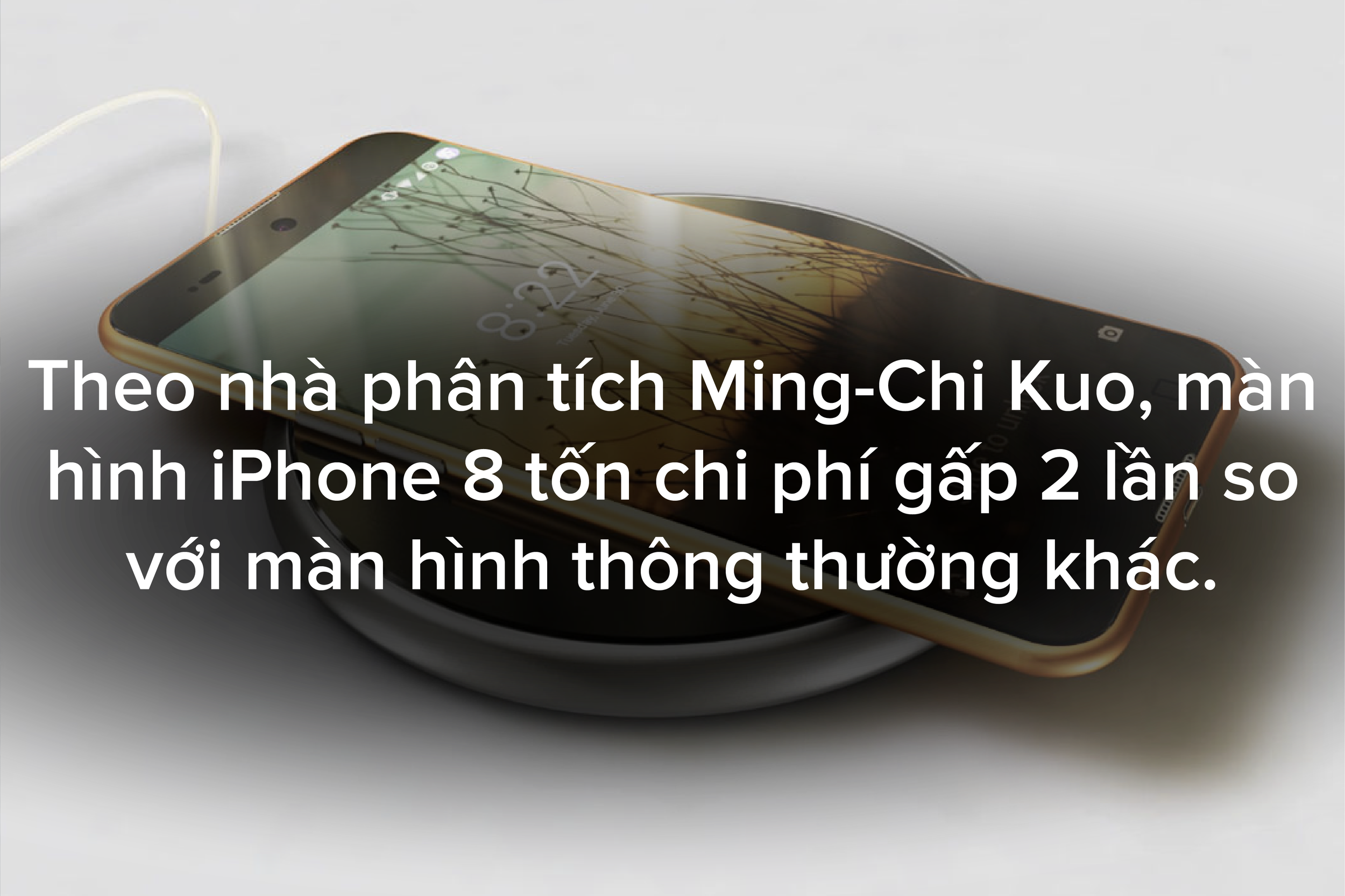 8.9.2017 hinh-02.png