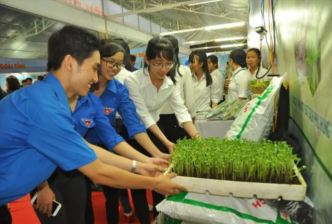 Khởi nghiệp với xơ dừa