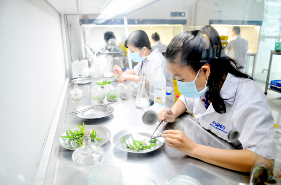 Để TPHCM trở thành trung tâm sản xuất giống của khu vực