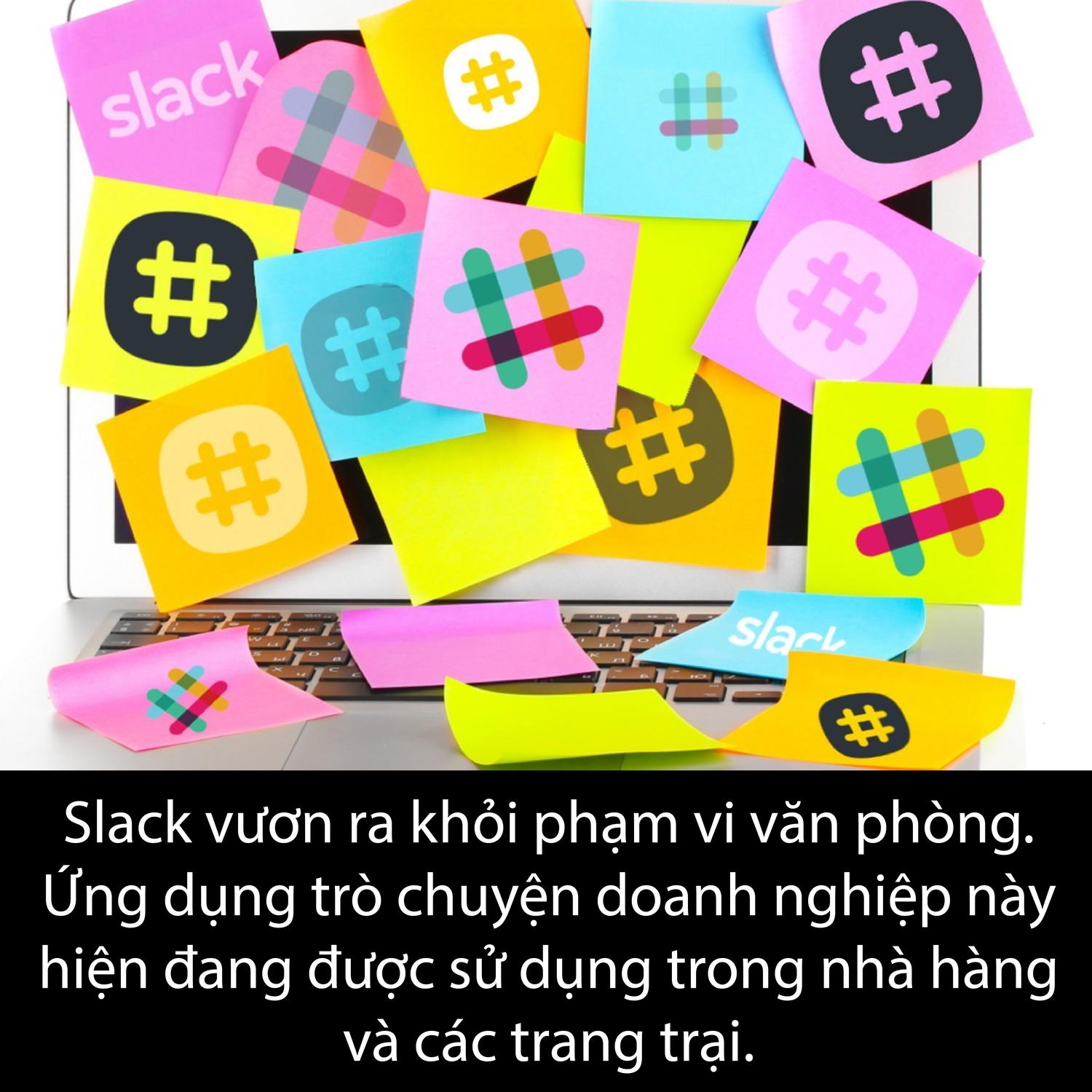 5.9.2017+hinh-03.png