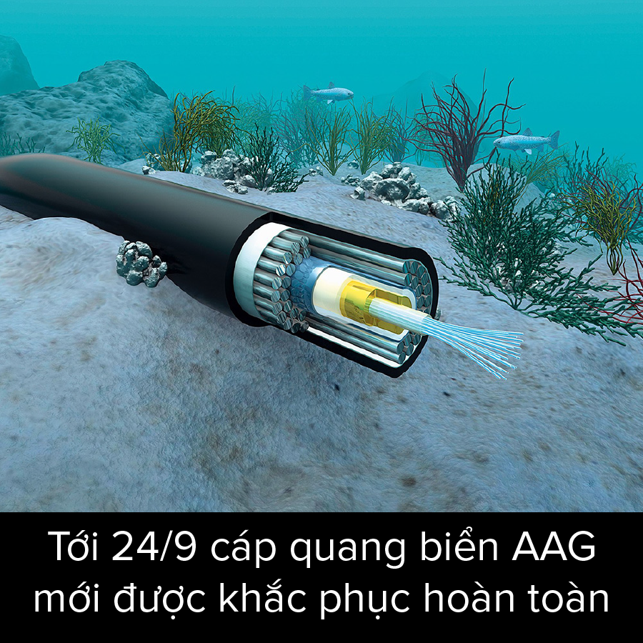Untitled-6-01.png