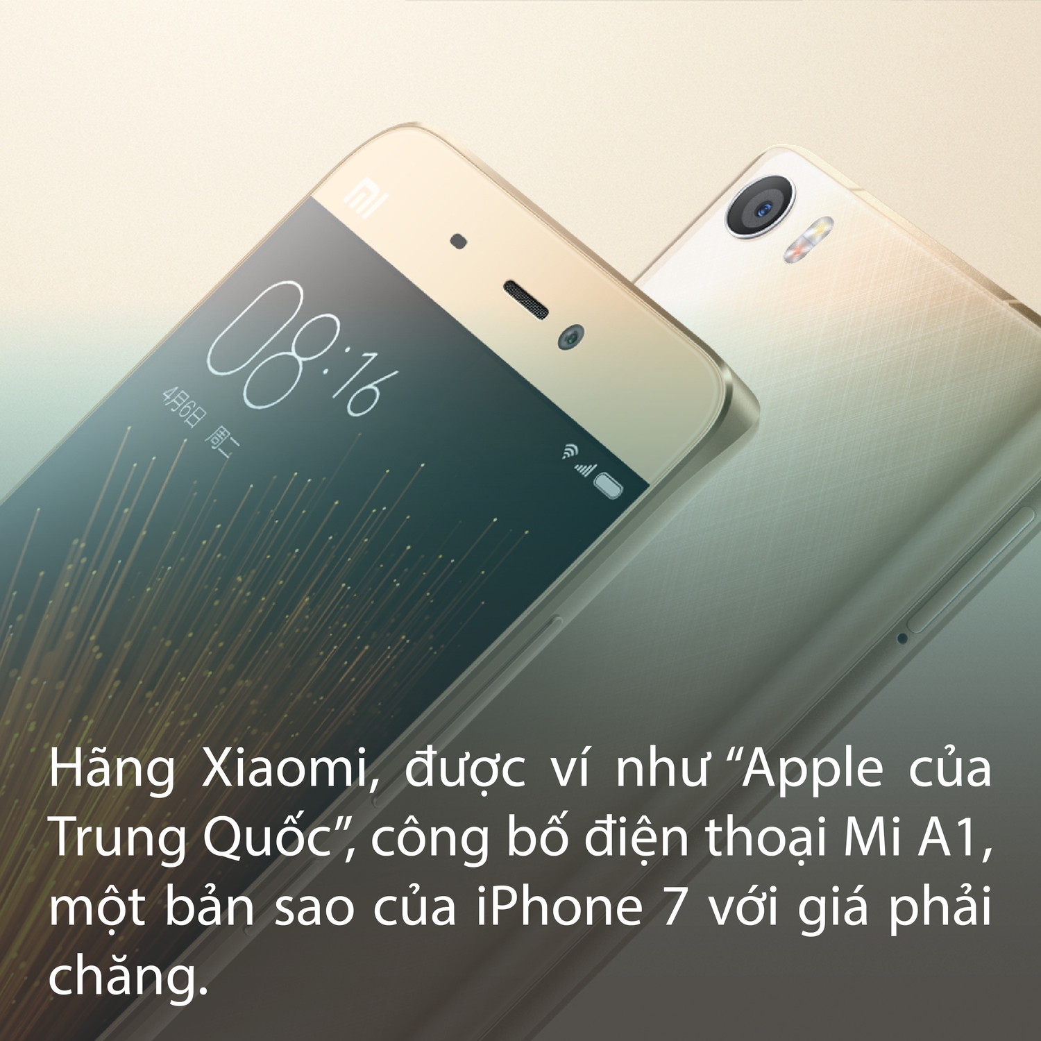 7.9.2017+hinh-04.png
