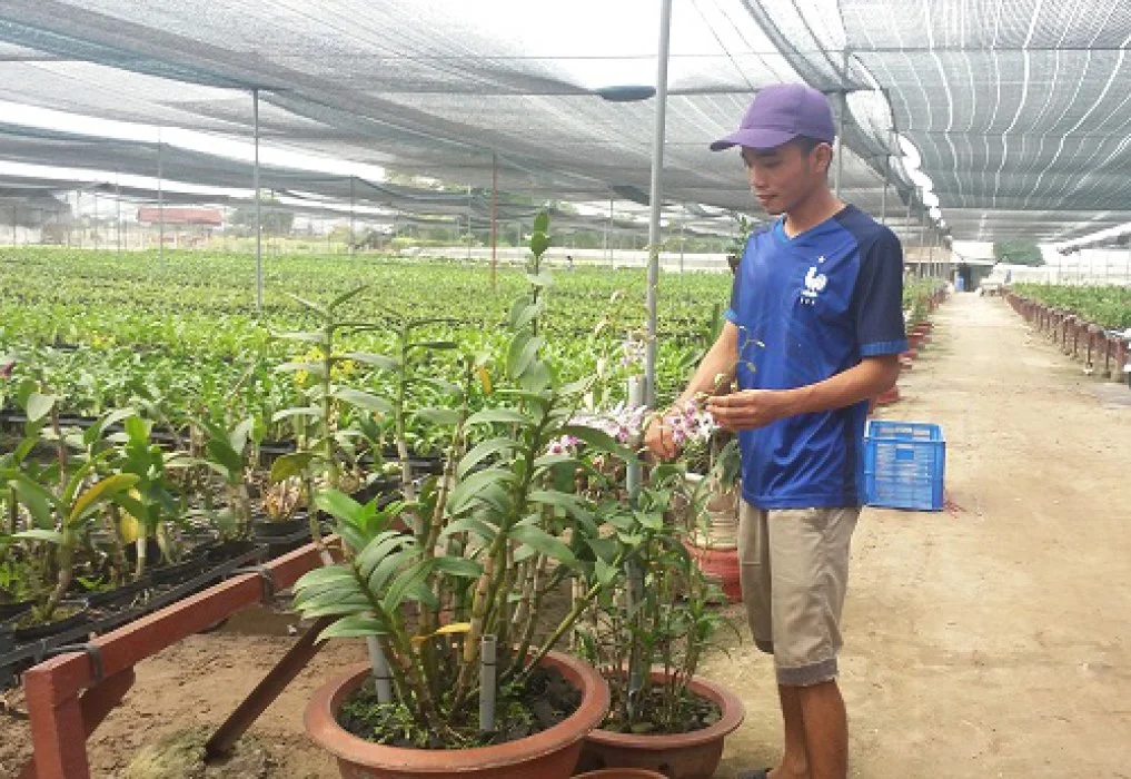 Tp Hồ Chí Minh: Đổi mới đào tạo nghề cho lao động nông thôn