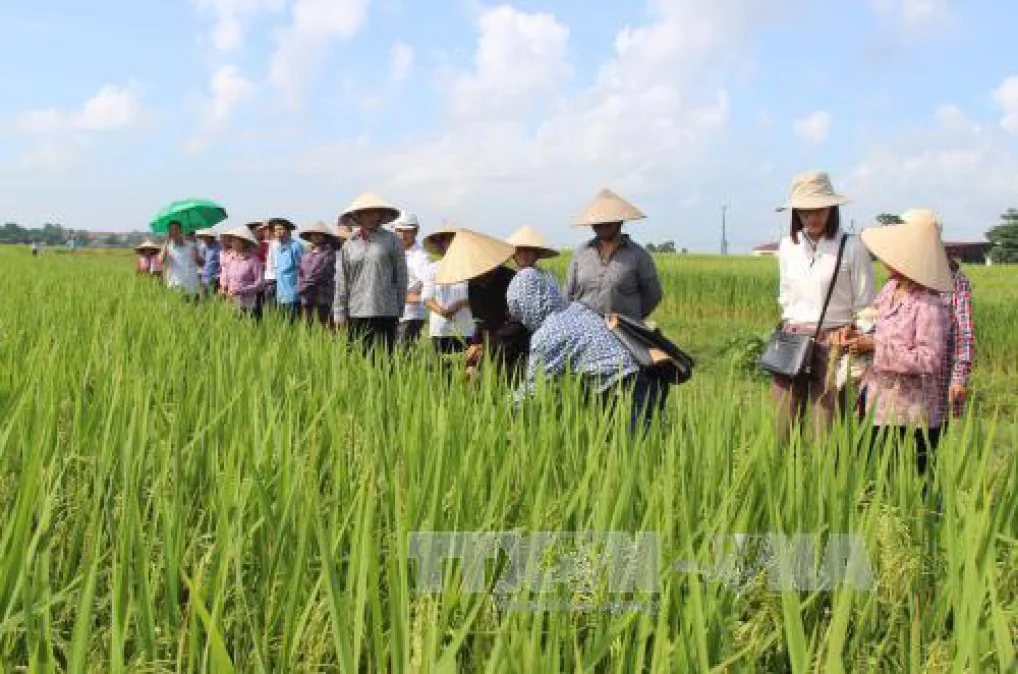 Đầu tư vào nông nghiệp sẽ được hưởng nhiều ưu đãi thuế