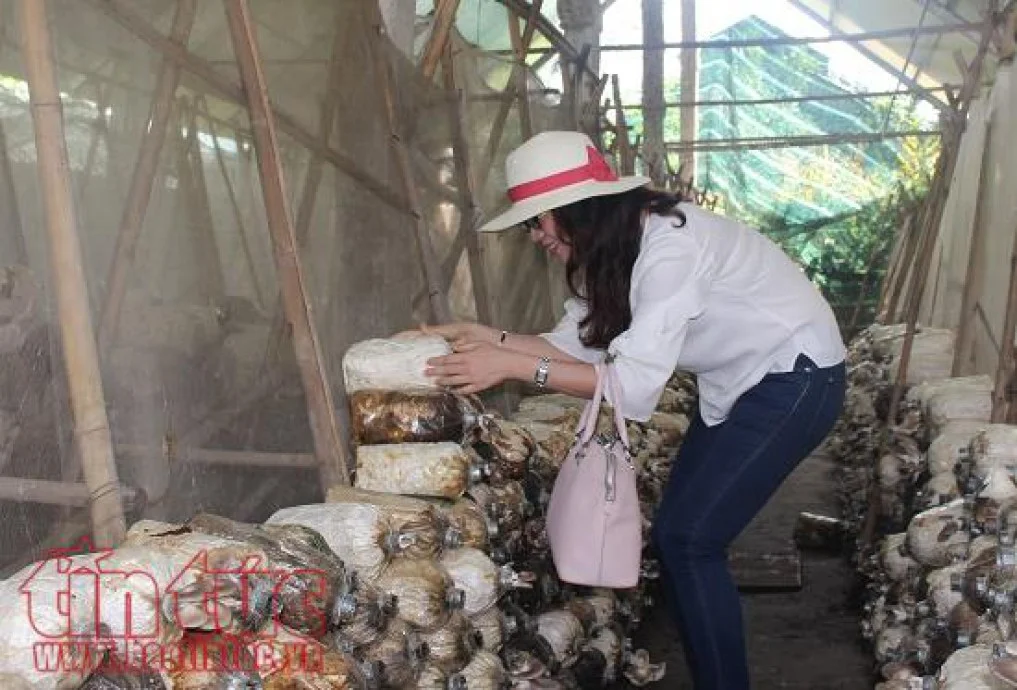 TP Hồ Chí Minh phát triển sản phẩm du lịch nông nghiệp công nghệ cao