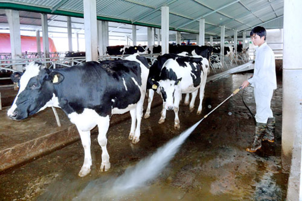 5 lý do cần áp dụng nông nghiệp 4.0 và 5 ngành sản xuất bằng NN 4.0