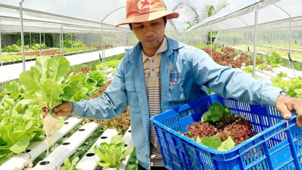 Xuất ngoại… “ngắm” nghề nông
