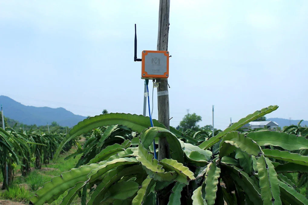 IoT trong nông nghiệp: Giải thách thức chi phí đầu tư