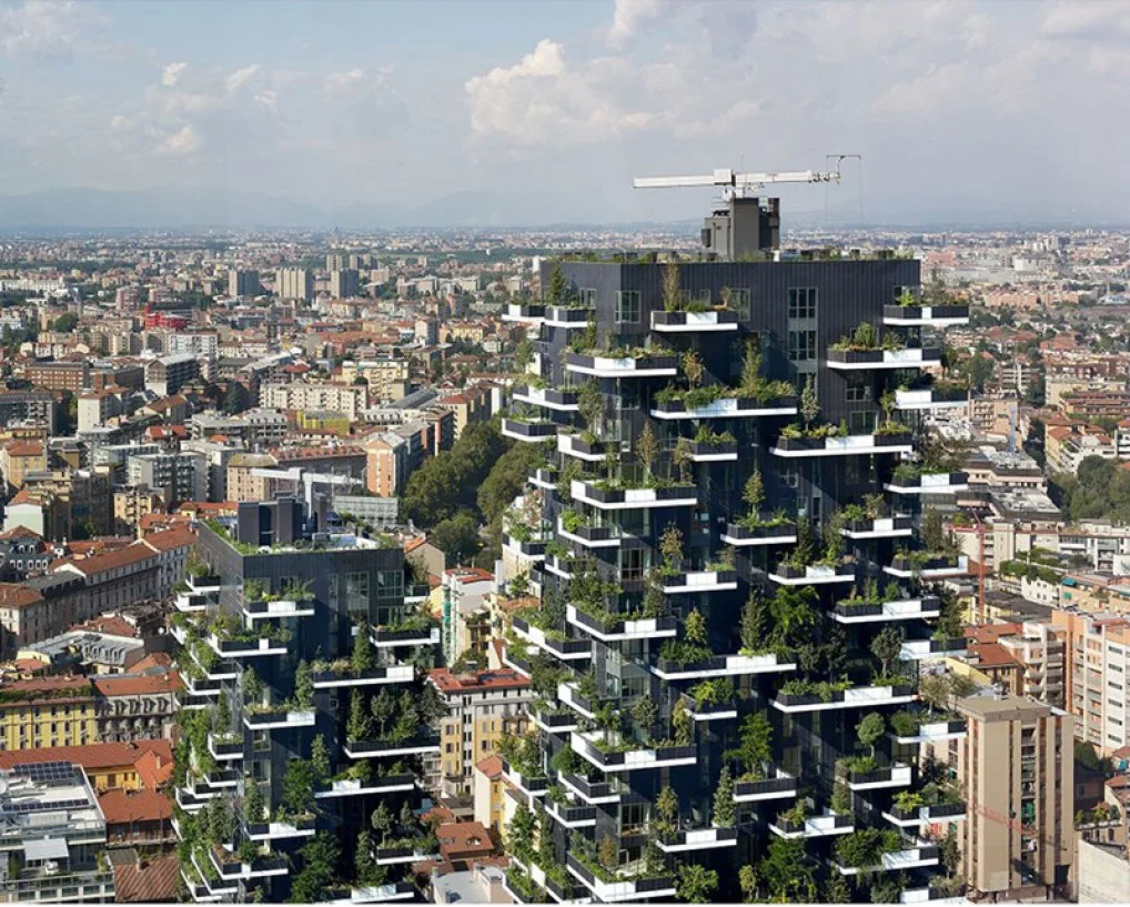 Trồng rừng trên cao ốc thành phố Paris