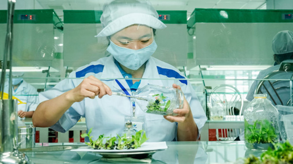 Thiếu hụt nhân lực nông nghiệp công nghệ cao