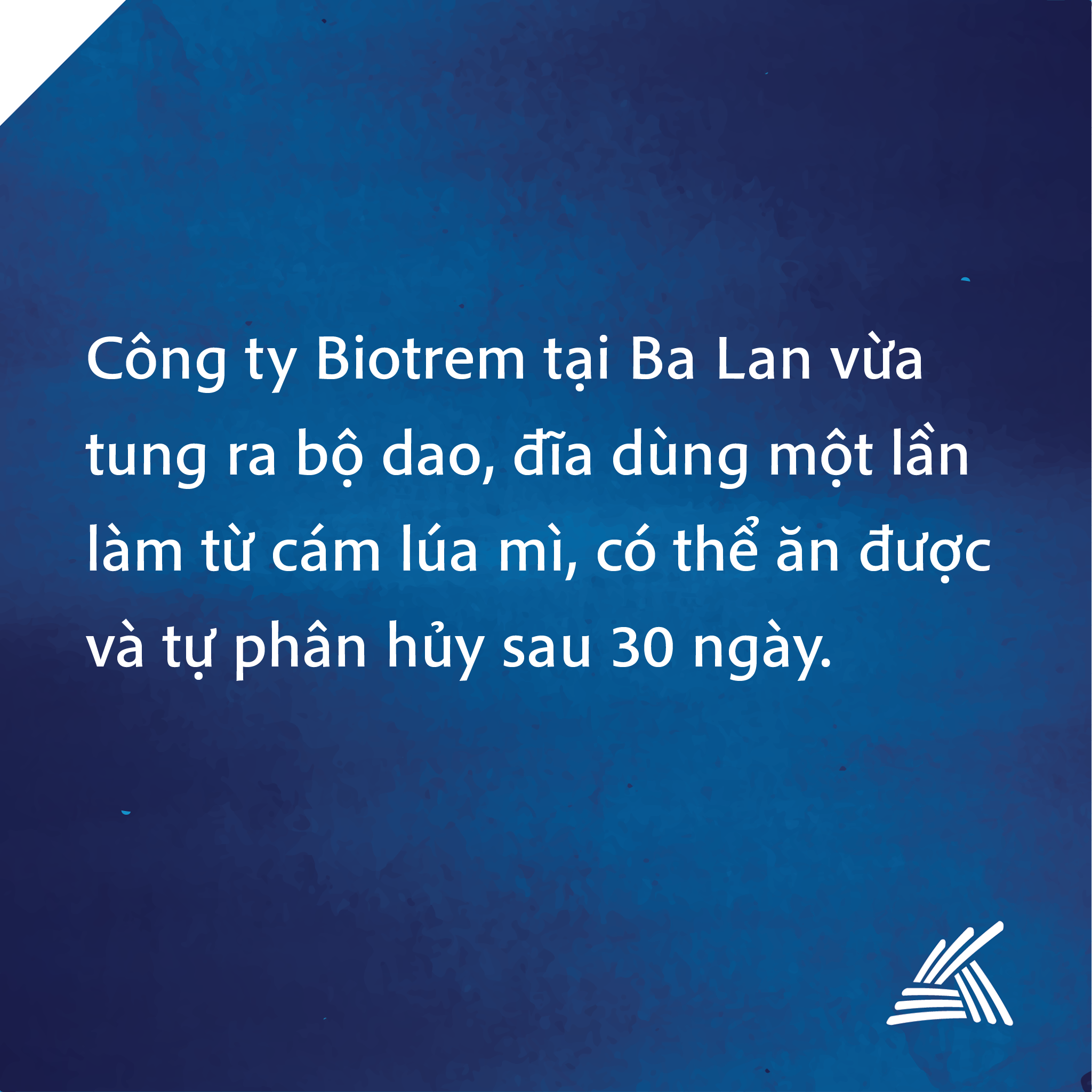 Điểm tin ngày 13/11/2017