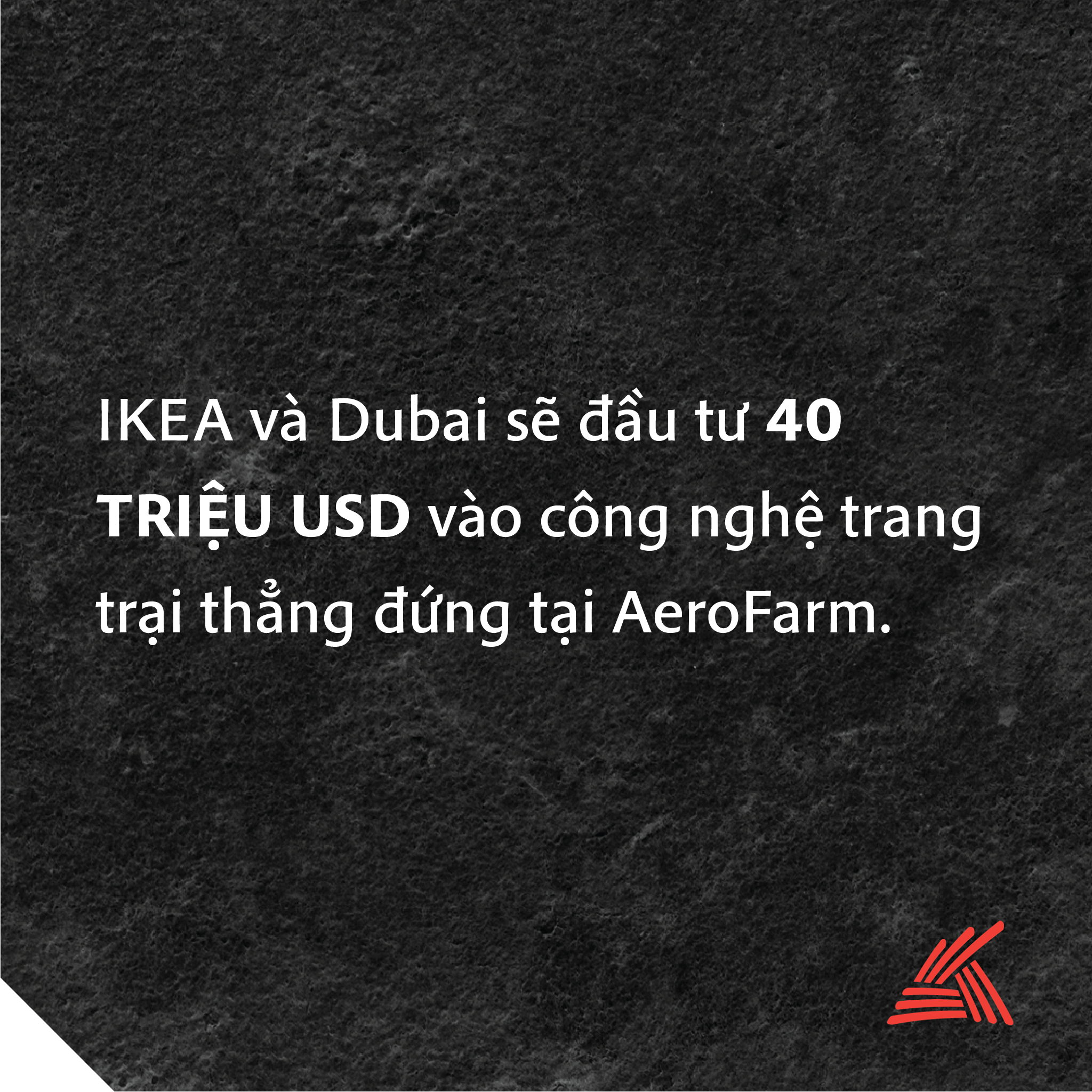 Điểm tin ngày 21/11/2017