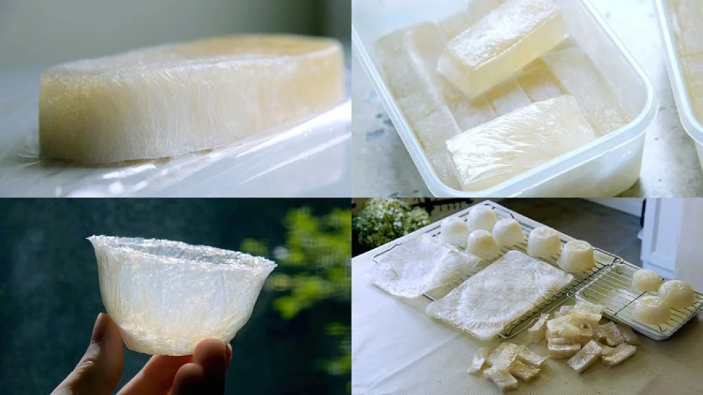 Giải pháp đóng gói sản phẩm mới nhờ vật liệu từ tảo biển