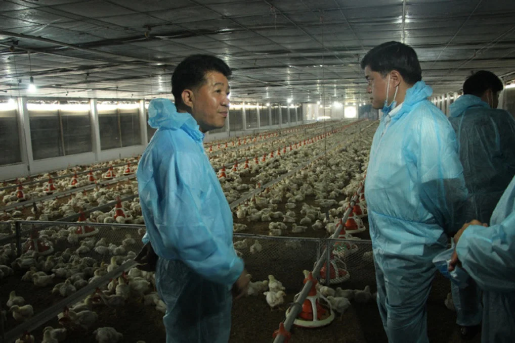 Miền Đông tìm cách ứng dụng công nghệ 4.0 trong chăn nuôi