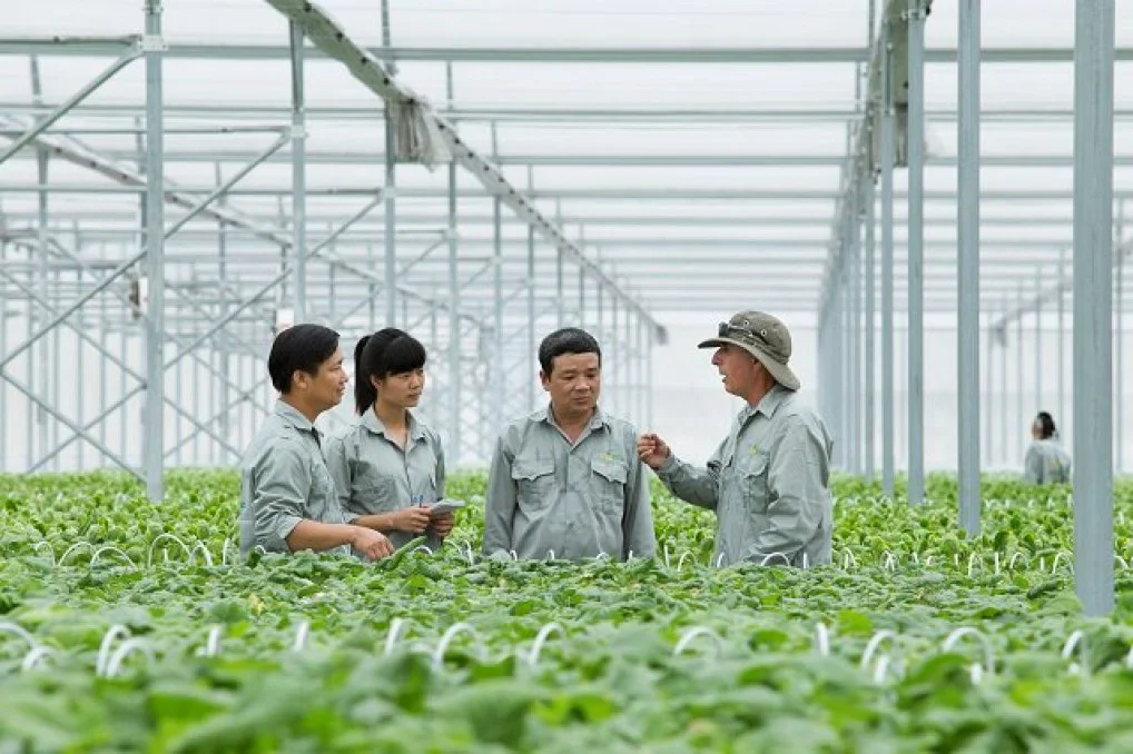 VinEco: Ở đâu cũng nhắc đến nông nghiệp thông minh nhưng công nghệ “Made in Vietnam” chưa nhiều
