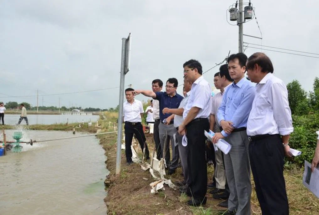 Cần sớm nhân rộng mô hình tiết kiệm điện trong nuôi tôm tại Sóc Trăng