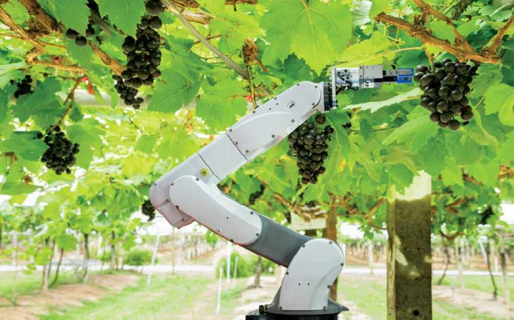 Robot ùa vào nông nghiệp