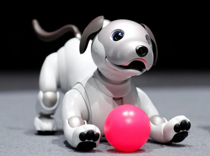 Robot Aibo có hình dáng và khả năng hoạt động như một chú chó cảnh trong nhà.