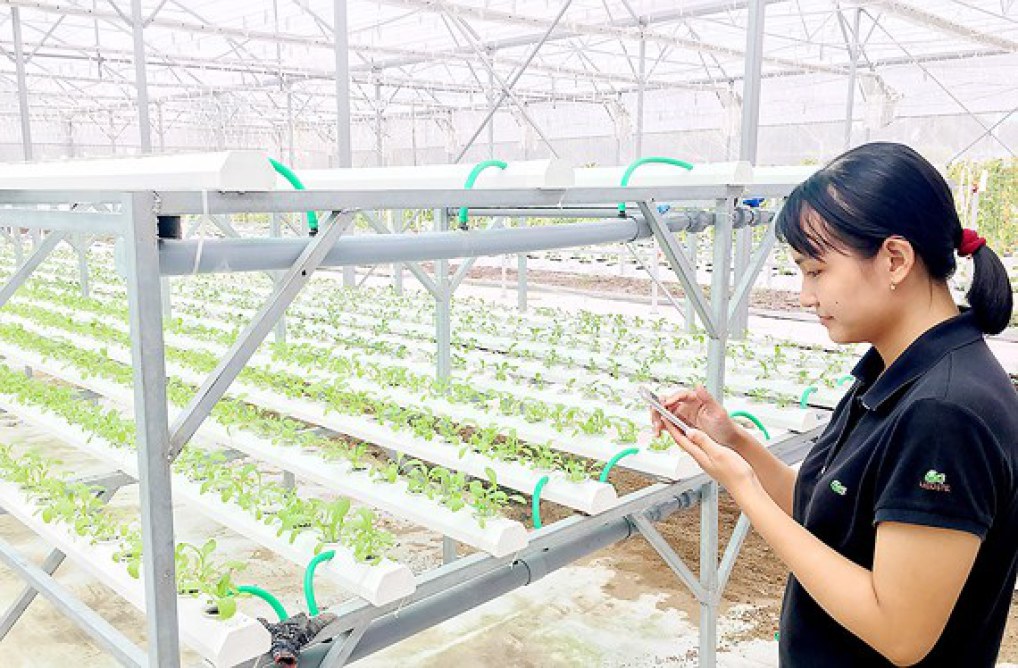 Công viên Phần mềm Quang Trung ngày càng thông minh