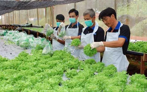 Du lịch nông nghiệp: Bài học từ Đài Loan, Nhật Bản