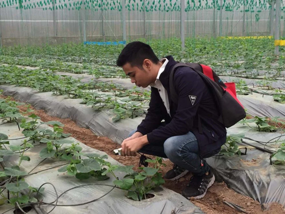 Sinh viên ĐH Công nghệ Hà Nội trồng rau sạch bằng công nghệ ánh sáng