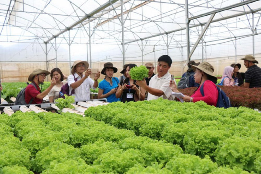 Nhà nước đầu tư không quá 10 tỷ đồng cho các đơn vị liên kết sản xuất nông nghiệp 