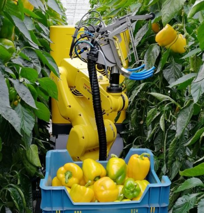 final_system_in_crop_row.jpg