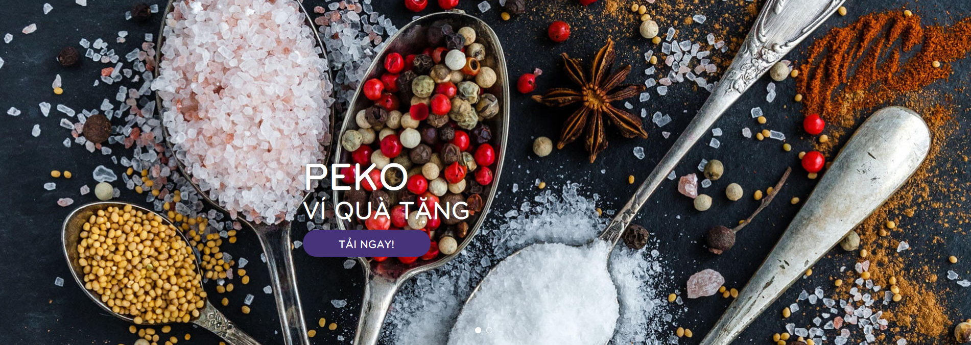 Mã số N2035: Ví quà tặng Peko - Ứng dụng kết nối người sử dụng với nhà hàng