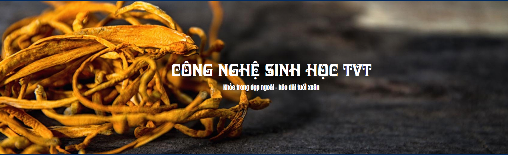 Mã số N1020: Công ty TNHH Công nghệ Sinh học TVT và giải pháp đa dạng hóa thị trường Nấm Mối Đen, Nấm Milky, Nấm Hầu Thủ theo quy mô nông nghiệp công nghệ cao