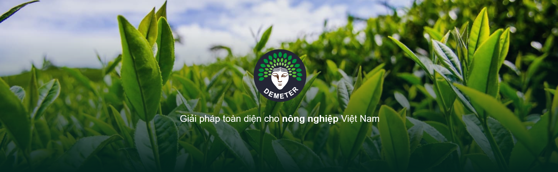 Mã số N2039: Demeter – Startup với giải pháp giám sát và điều khiển nông trại tự động