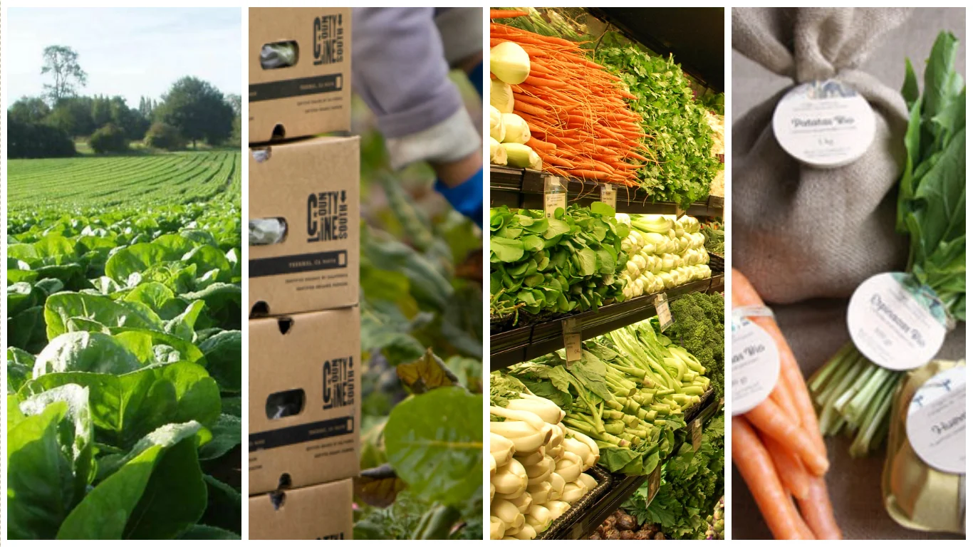 Mã số N2049: Farmbox Factory - Giải pháp canh tác nông nghiệp tự động
