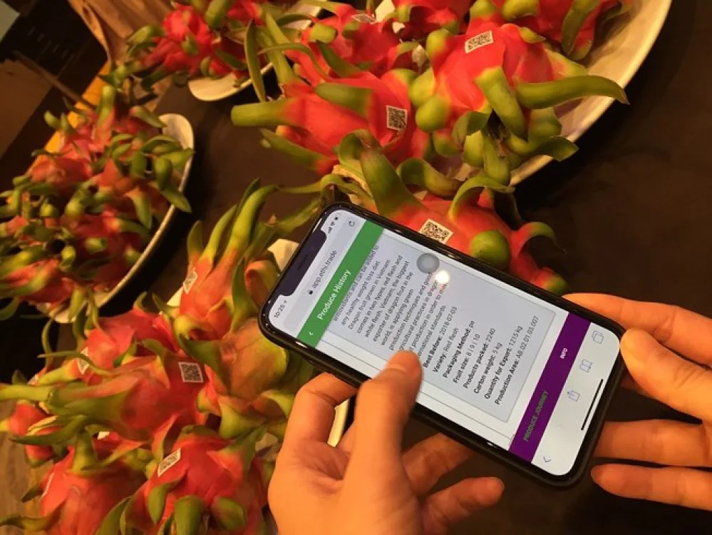 Lần đầu tiên truy lý lịch thanh long Việt Nam bằng blockchain 