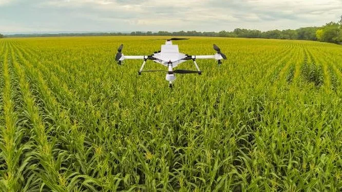 Nền nông nghiệp của những 'Robot nông dân'